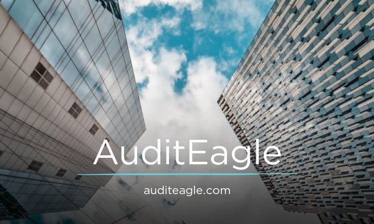 AuditEagle.com - Creative premium names