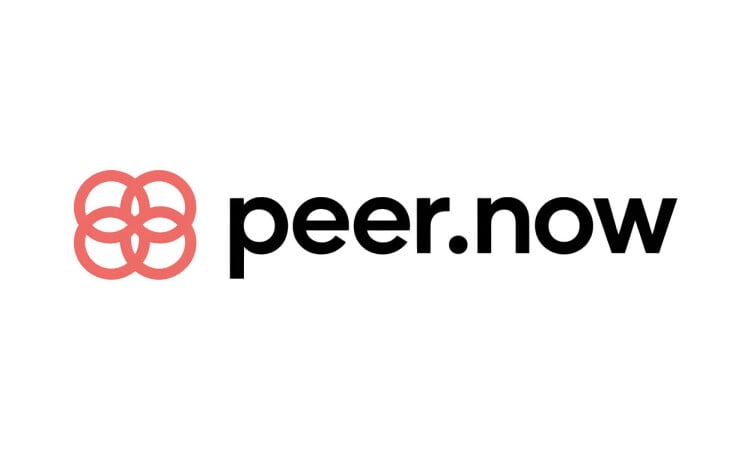 Peer.now - Great premium domain marketplace