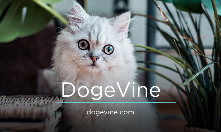 dogevine.com - Good premium domain marketplace