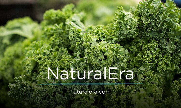 NaturalEra.com - Catchy premium domain names for sale