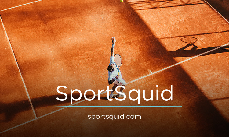SportSquid.com - Creative premium domains for sale