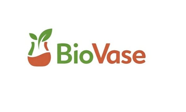 BioVase.com - Unique premium domains