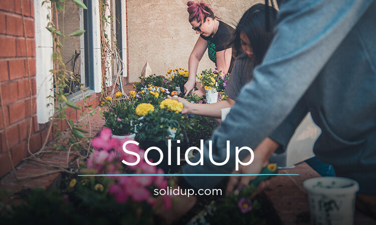 SolidUp.com - Catchy premium domain marketplace
