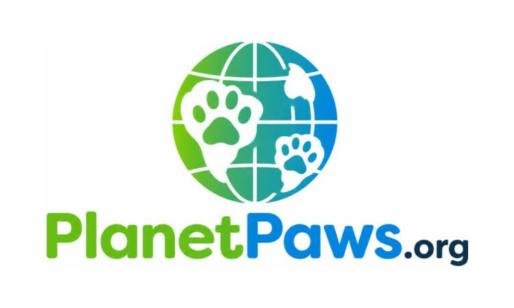 PlanetPaws.org - Cool premium domains for sale