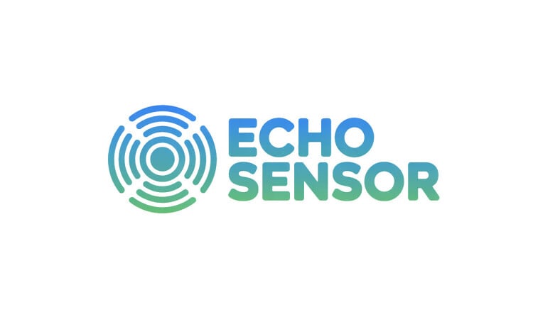 EchoSensor.com - New premium domain names