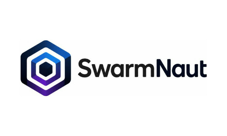 SwarmNaut logo