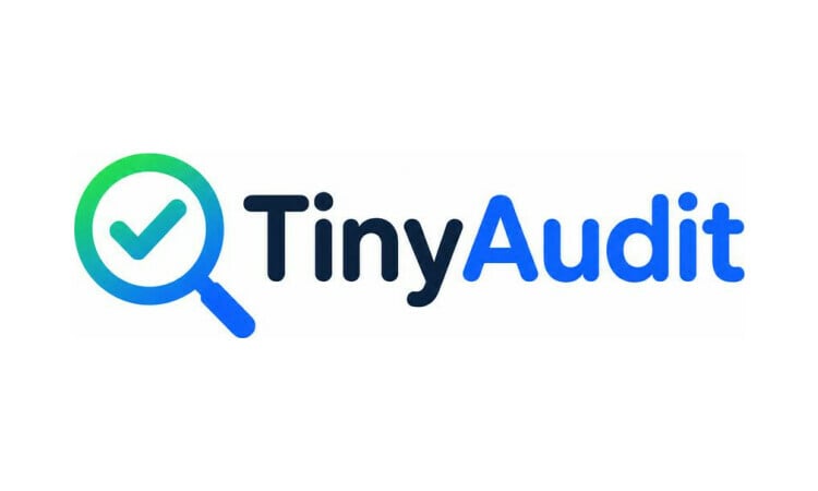 TinyAudit.com - Unique premium domain marketplace