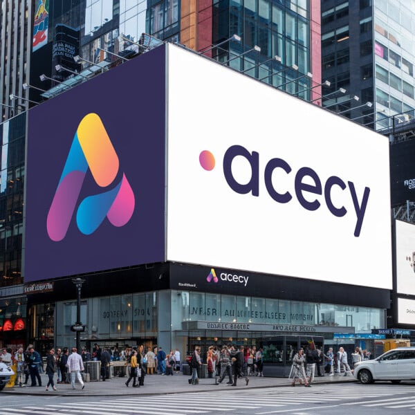 Acecy.com image 3
