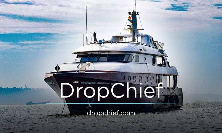 DropChief.com - buy New premium domains