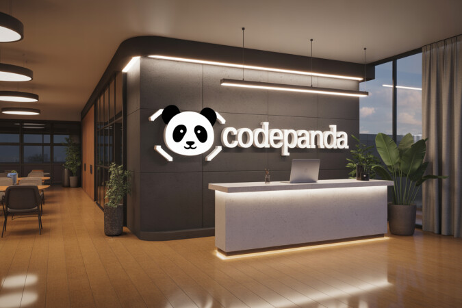 Codepanda.com image 3
