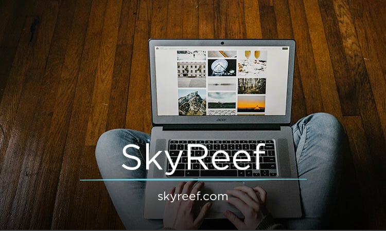 SkyReef.com - Good domains for sale