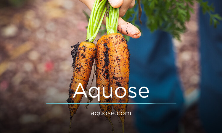 Aquose.com - buying Great premium names