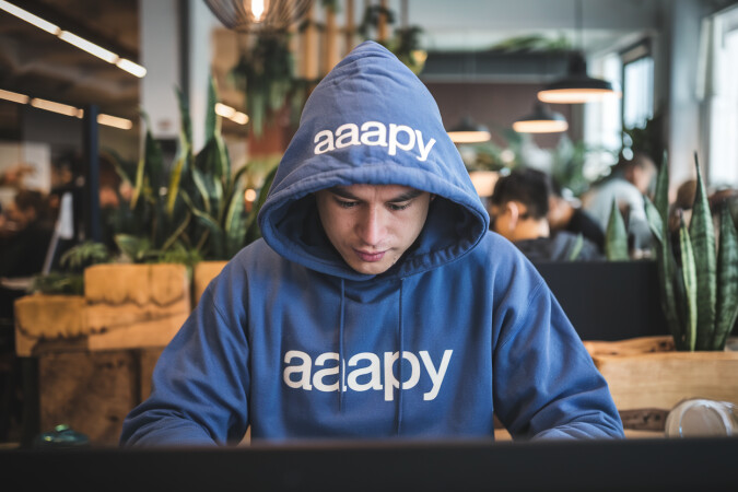 Aaapy.com image 4