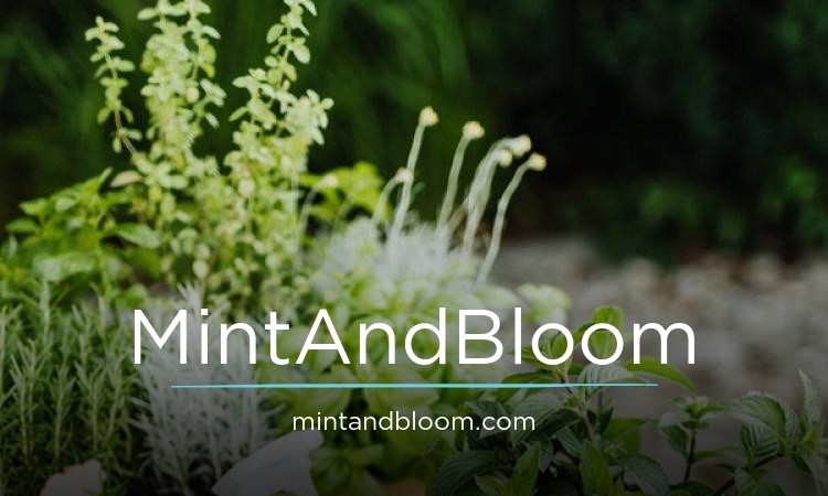 MintAndBloom.com - buy Unique premium names