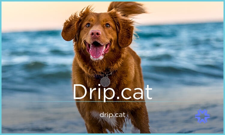 Drip logo