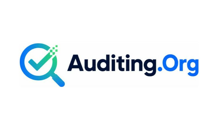 Auditing logo