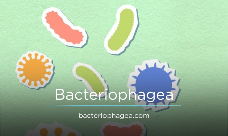 Bacteriophagea logo