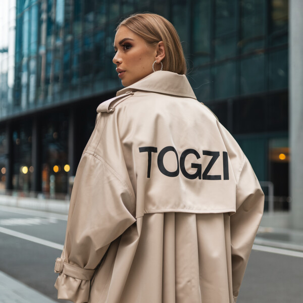 Togzi.com image 2