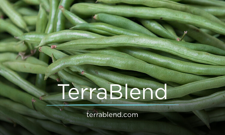 TerraBlend.com - Great premium domain names