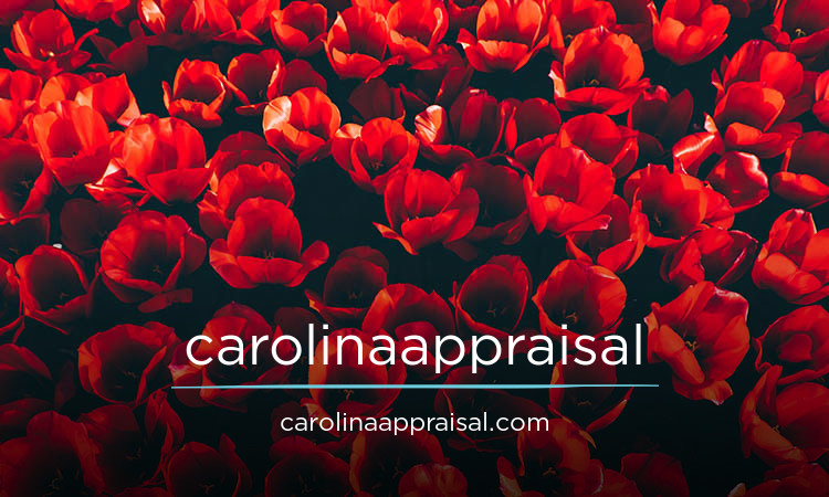 CarolinaAppraisal logo