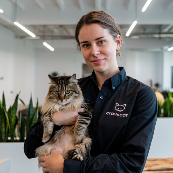 CraveCat.com image 3