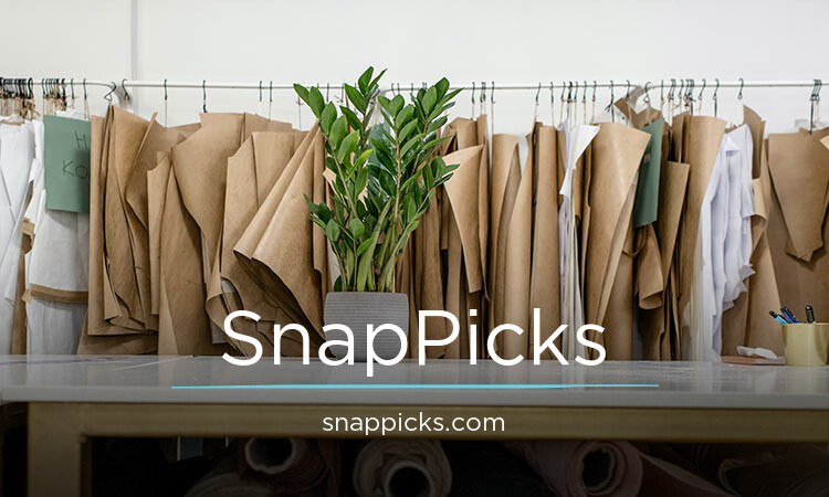 SnapPicks.com - Cool domains for sale