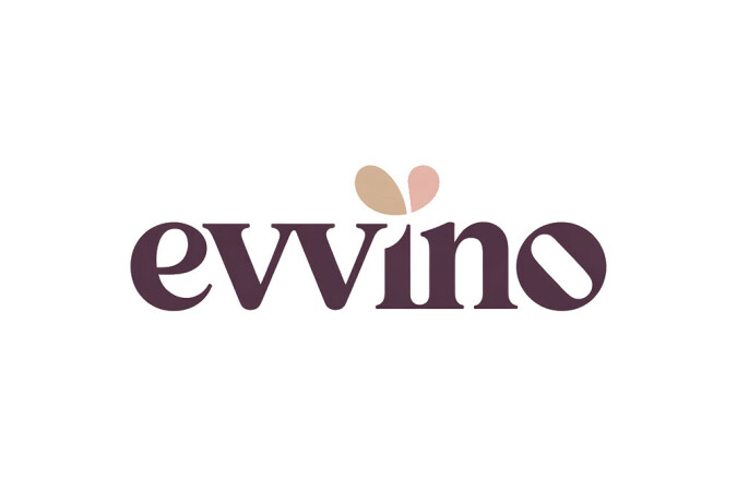 Evvino.com - Cool domains for sale