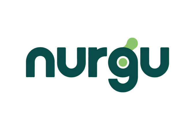 Nurgu logo