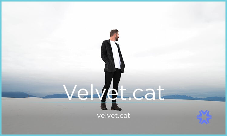 Velvet logo
