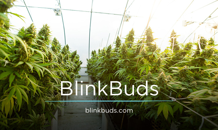 BlinkBuds.com - buying Best premium names