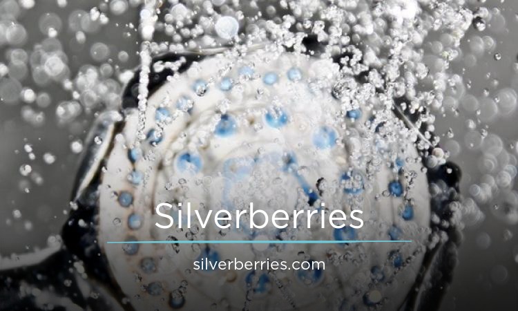 Silverberries.com - Cool premium names