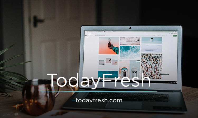 TodayFresh.com - Good premium domain marketplace