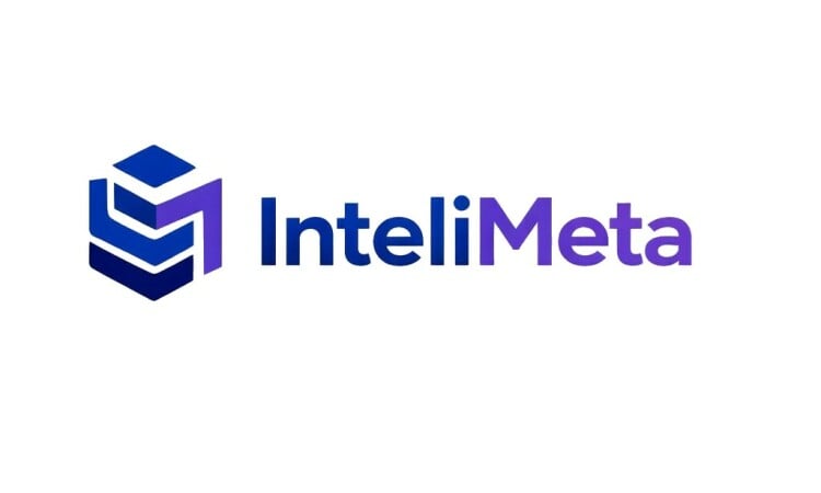 InteliMeta logo