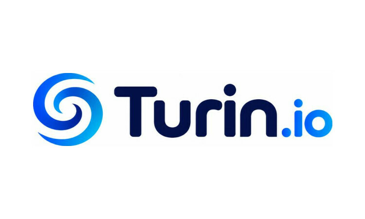 Turin logo