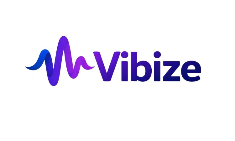 Vibize logo