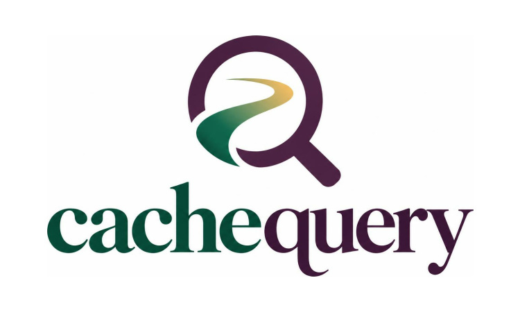 CacheQuery.com is for sale