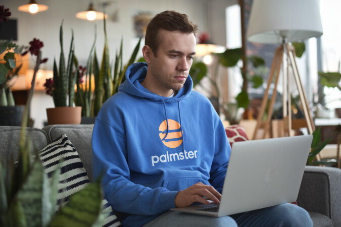 Palmster.com image 3