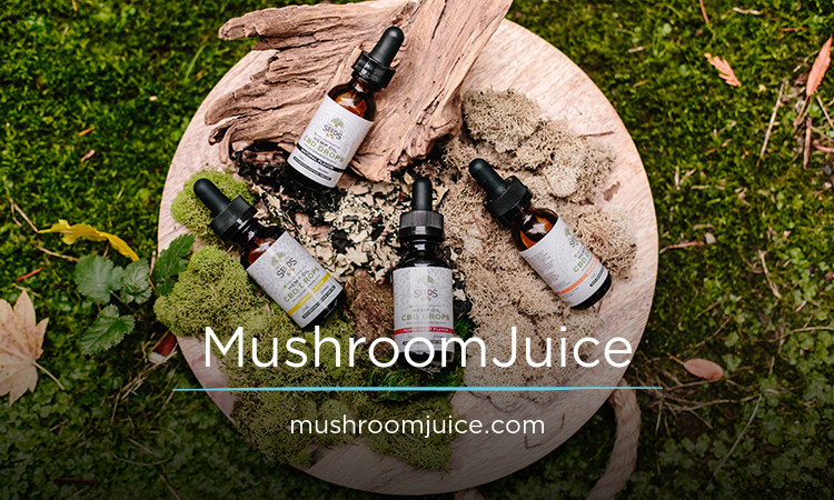 MushroomJuice.com - Catchy premium domain names
