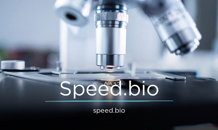 Speed logo