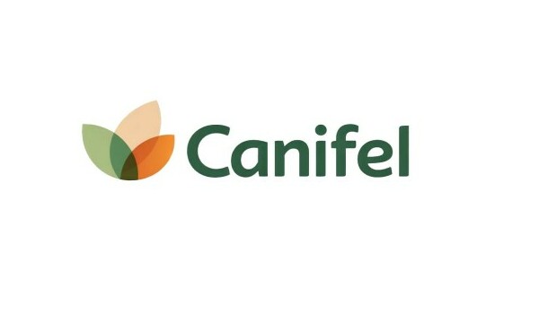 Canifel.com - Creative domains for sale