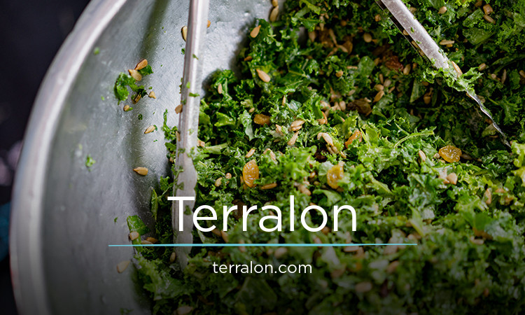Terralon.com - buy Creative premium domains