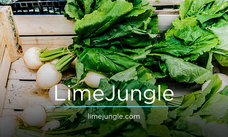 LimeJungle.com - Cool premium domain names