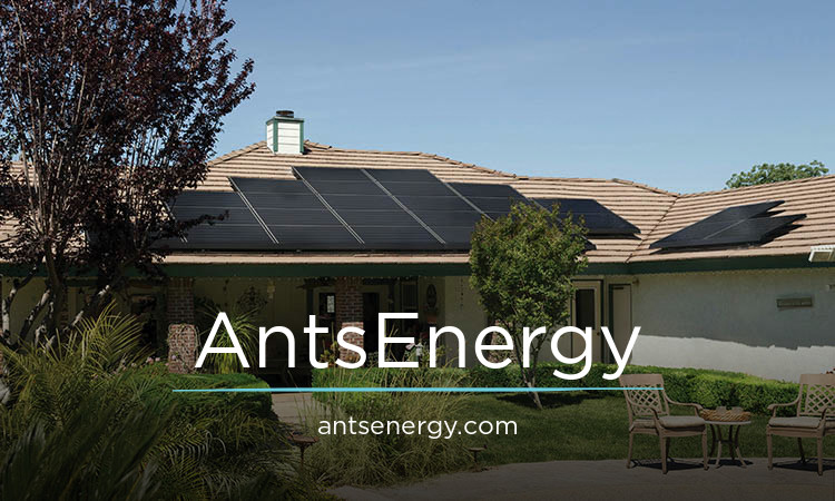AntsEnergy logo