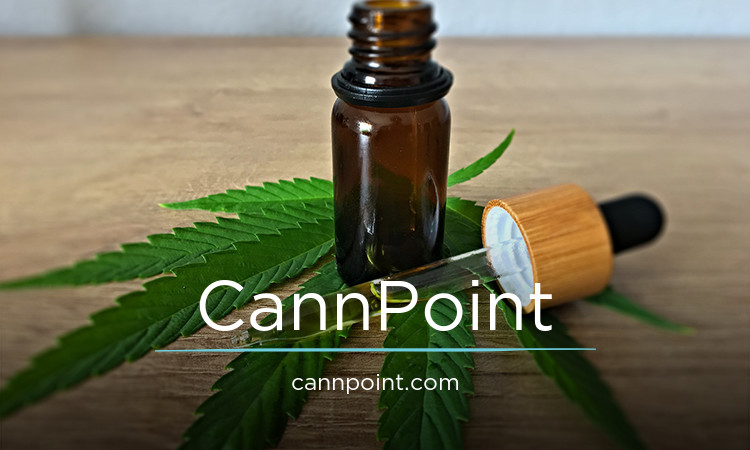 CannPoint logo