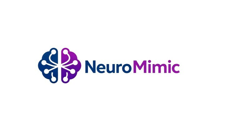 NeuroMimic logo