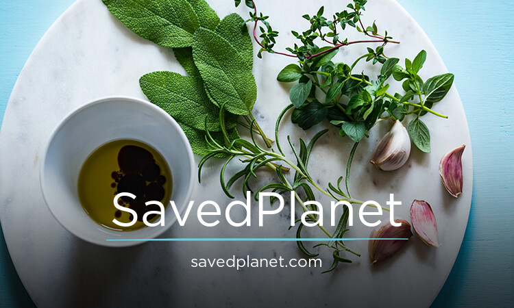 SavedPlanet.com - New premium domains for sale