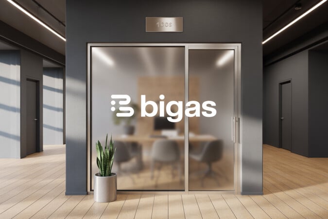 Bigas.com image 3