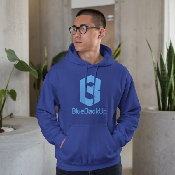 BlueBackup.com image 3