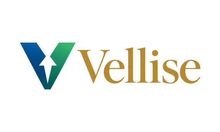 Vellise logo