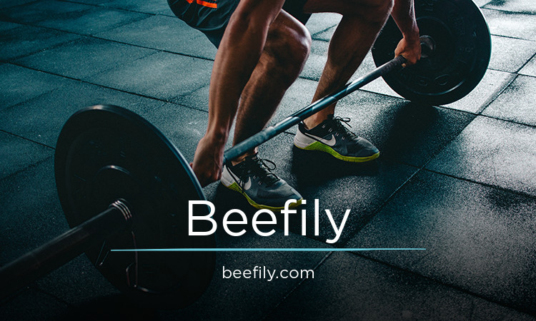 Beefily.com - Unique domains for sale